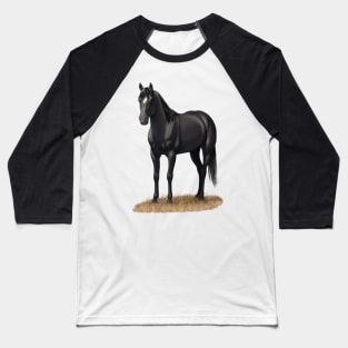 Beautiful Black Quarter Horse Stallion Baseball T-Shirt